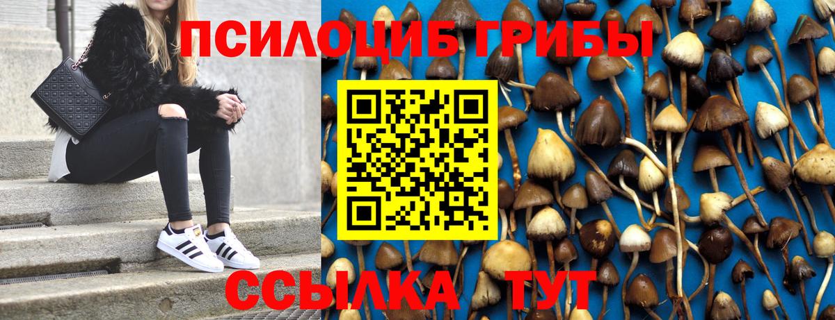 Галлюциногенные грибы Psilocybine cubensis  Вход с VPN  Таганрог 