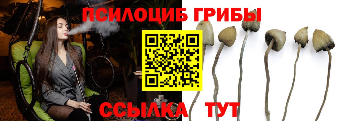 Галлюциногенные грибы MAGIC MUSHROOMS Таганрог